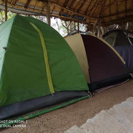 Drunken Monkey Camping Site Hotell Hampi Exteriör bild