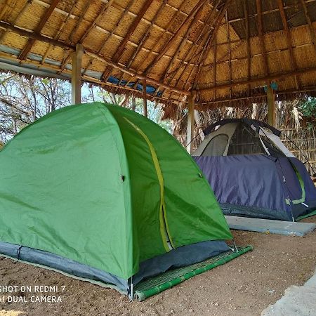 Drunken Monkey Camping Site Hotell Hampi Exteriör bild