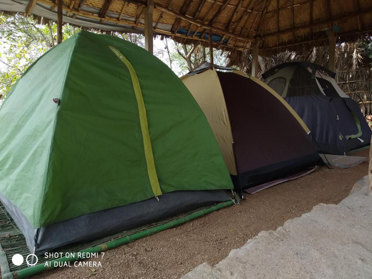 Drunken Monkey Camping Site Hotell Hampi Exteriör bild
