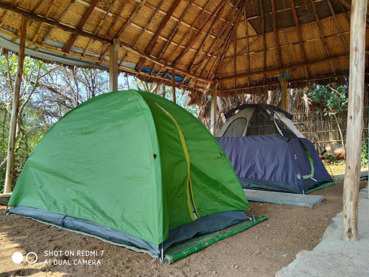 Drunken Monkey Camping Site Hotell Hampi Exteriör bild