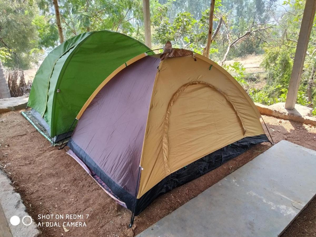 Drunken Monkey Camping Site Hotell Hampi Exteriör bild